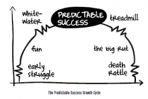 How do design and build an organization for success?